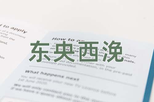 成语东央西浼