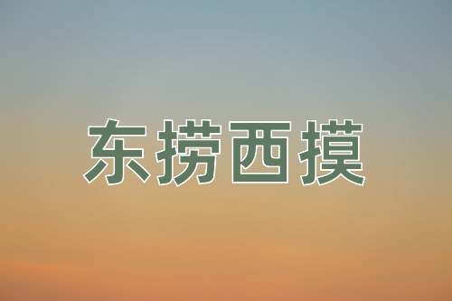 成语东捞西摸