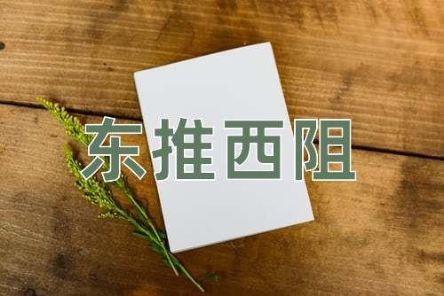 成语东推西阻