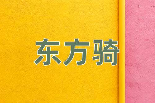 成语东方骑