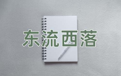 成语东流西落