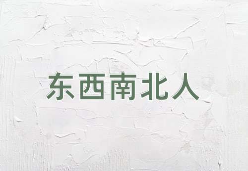 成语东西南北人
