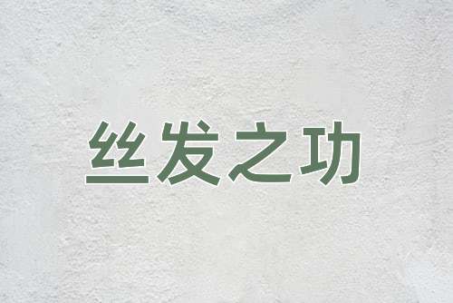 成语丝发之功