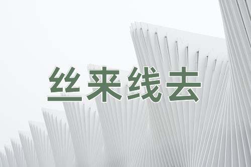 成语丝来线去