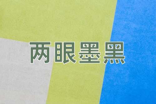 成语两眼墨黑