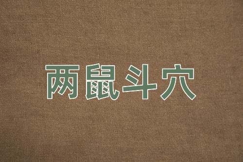 成语两鼠斗穴