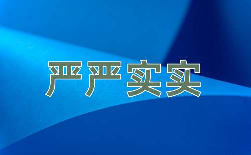 成语严严实实