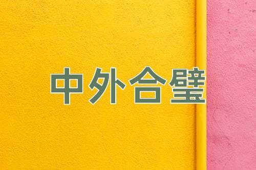 成语中外合璧