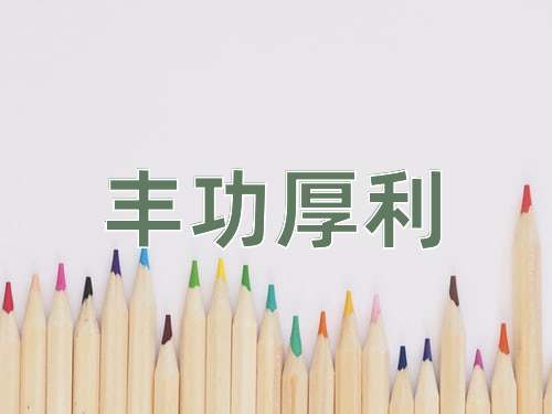 成语丰功厚利