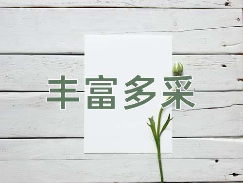成语丰富多采