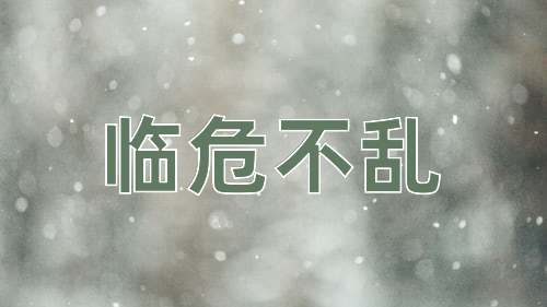 成语临危不乱