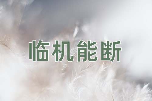 成语临机能断