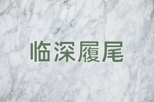 成语临深履尾