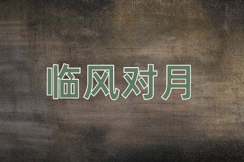 成语临风对月