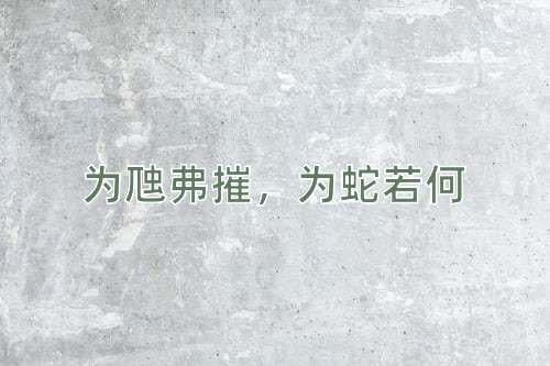 成语为虺弗摧，为蛇若何
