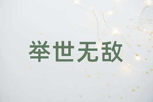 成语举世无敌