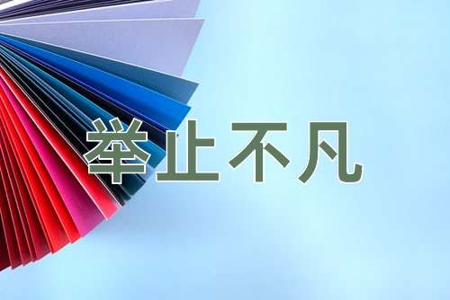 成语举止不凡