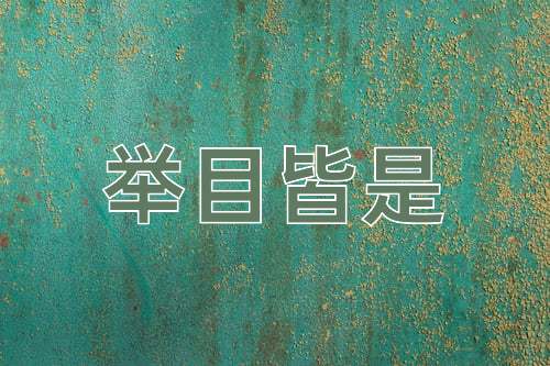 成语举目皆是