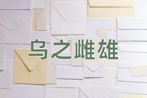 成语乌之雌雄