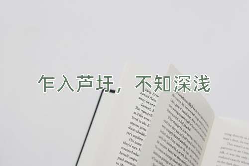 成语乍入芦圩，不知深浅
