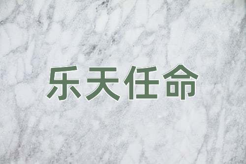 成语乐天任命