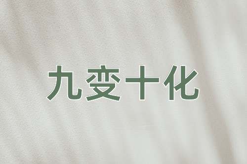 成语九变十化
