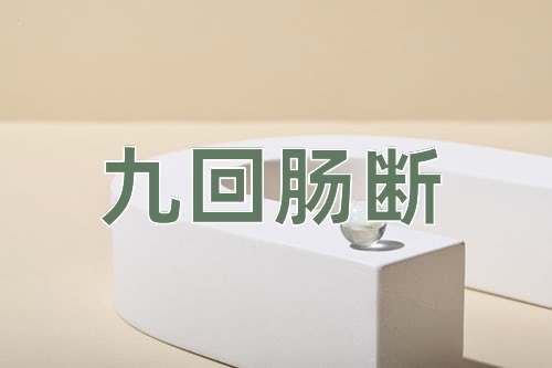 成语九回肠断