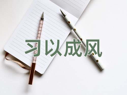 成语习以成风