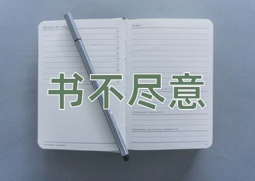 成语书不尽意