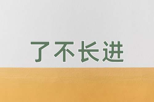 成语了不长进