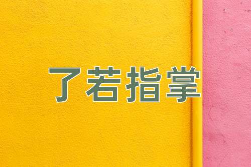 成语了若指掌