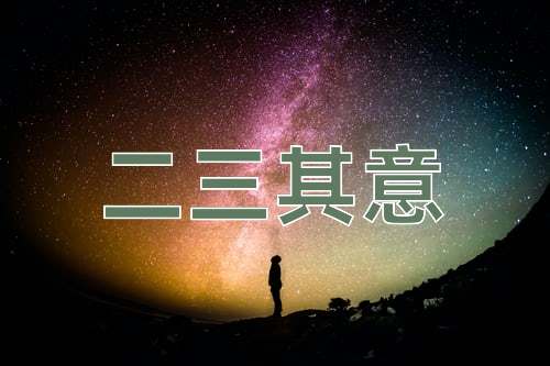 成语二三其意