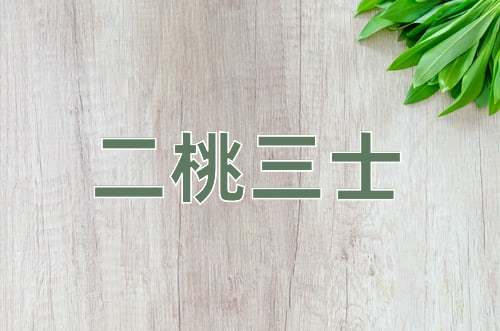成语二桃三士