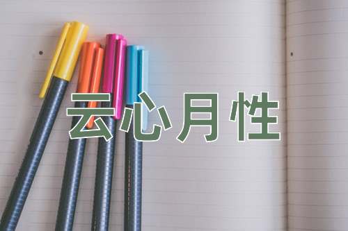 成语云心月性