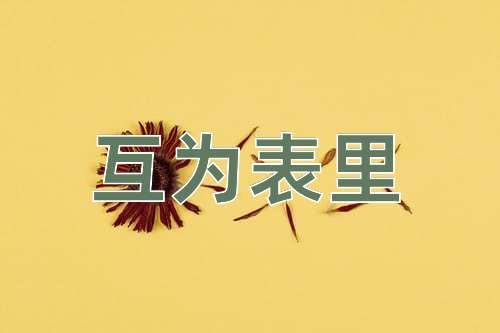 成语互为表里