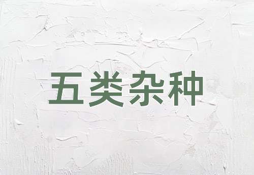 成语五类杂种