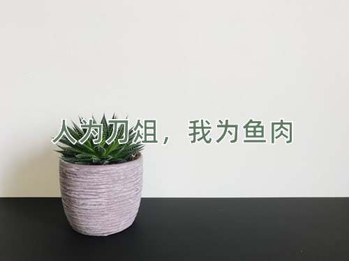 成语人为刀俎，我为鱼肉
