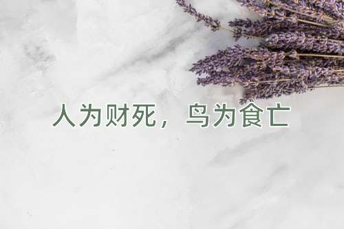 成语人为财死，鸟为食亡