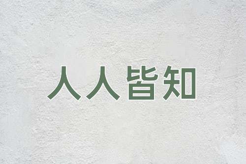 成语人人皆知