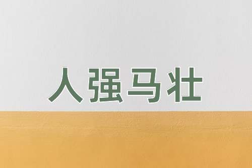 成语人强马壮