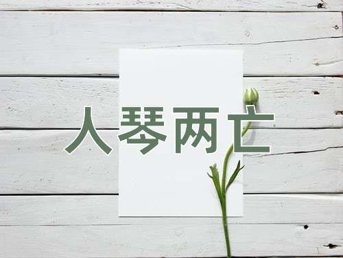 成语人琴两亡