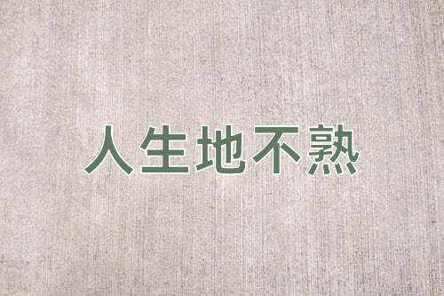 成语人生地不熟