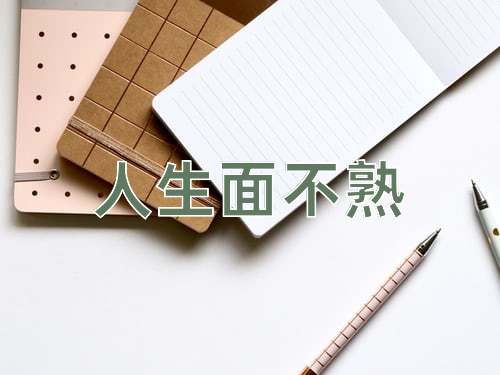 成语人生面不熟