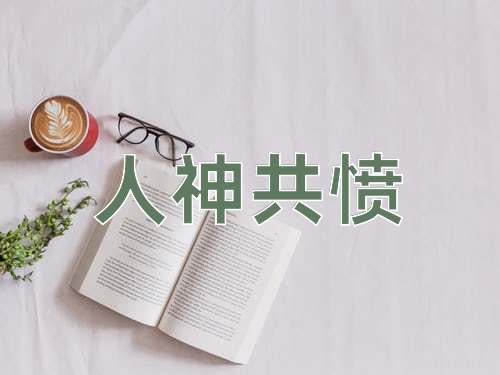 成语人神共愤