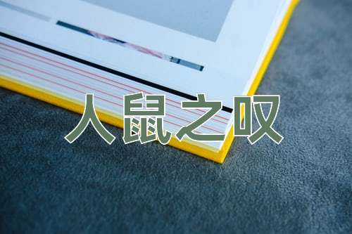 成语人鼠之叹