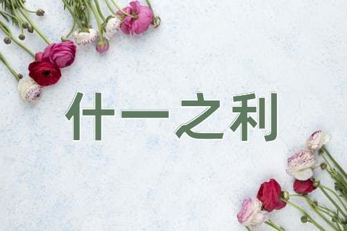 成语什一之利