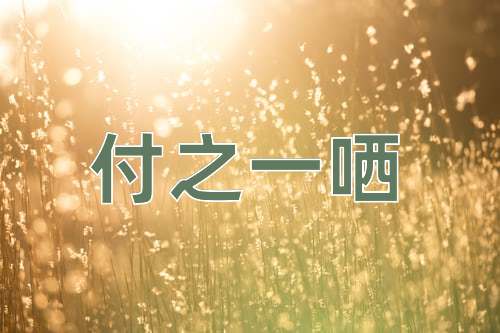 成语付之一哂
