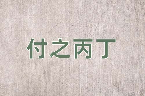 成语付之丙丁