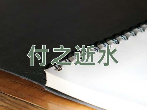 成语付之逝水