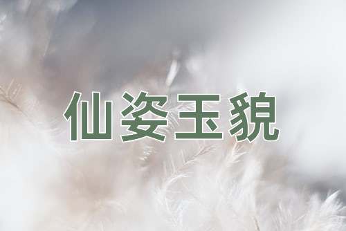 成语仙姿玉貌
